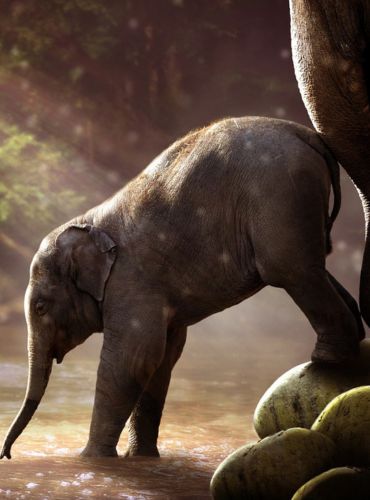 Ein Elefantenjunges findet Schutz und Liebe bei seiner Mutter an einer Wasserstelle.