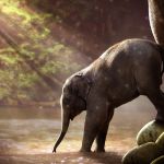 Ein Elefantenjunges findet Schutz und Liebe bei seiner Mutter an einer Wasserstelle.